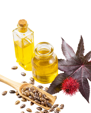 Castor oil bottles with seeds and leaf